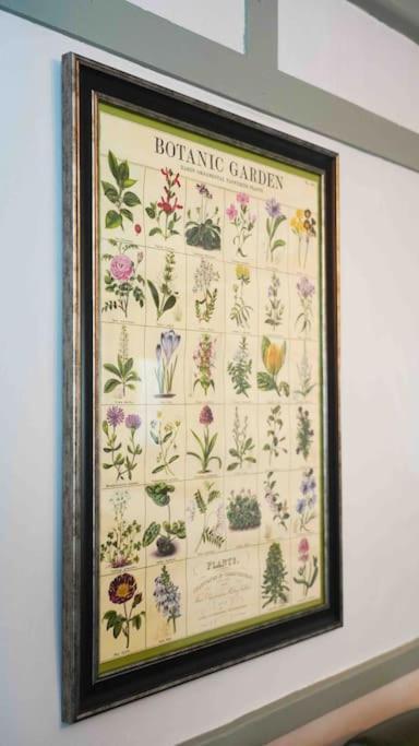 Villa *Stunning* The Botanist Rest Ventnor Iow Extérieur photo