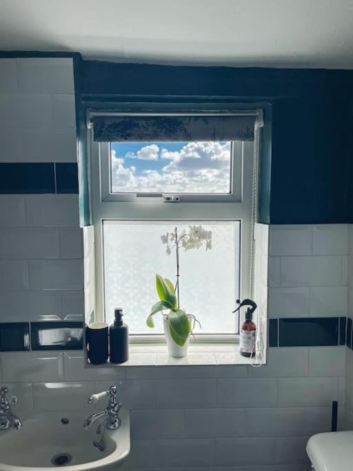 Villa *Stunning* The Botanist Rest Ventnor Iow Extérieur photo