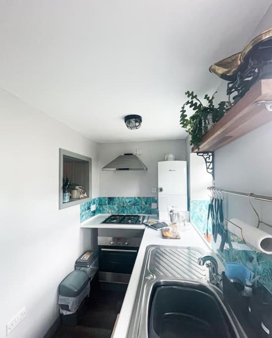 Villa *Stunning* The Botanist Rest Ventnor Iow Extérieur photo